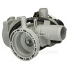 Drain Pump Assembly : Leili Changzhou BPX2-111 30W