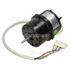 Hoover Motor