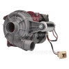 Motor Spray Pump Beko