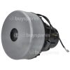 Numatic TTB-4552 24V D.C BP Motor Assembly