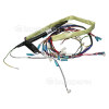 Main Wire Harness