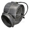 Bosch Motor
