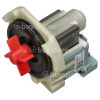 Pompe De Vidange Pour Lave-vaisselle - Plaset M3689 HR Code 120400513 15/30W 220/240V Rangemaster