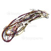 Wiring Harness Hisense