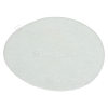 Bissell Secondary Filter