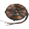 Bosch Induction Hotplate