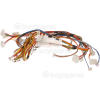 Gaggenau Cable Harness