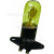 Genuine Ampoule