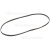 Beko Poly-Vee Drive Belt - 1244J5PJE (1244J5)
