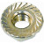 Polti Iron Nut