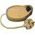 Haden Base