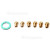 Genuine Spare Kit (DO66 No. Coupling Natural Gas To LPG Uk)