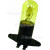 Genuine Ampoule