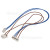 Hotpoint Cablage Dea601-Pressostat-Resistance