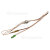 Delonghi Thermocouple Du Four Principal