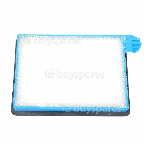 Filtro Post-motore Dell'aspirapolvere Dyson | BuySpares Italia