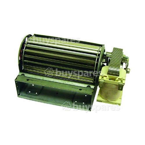 AEG Motor