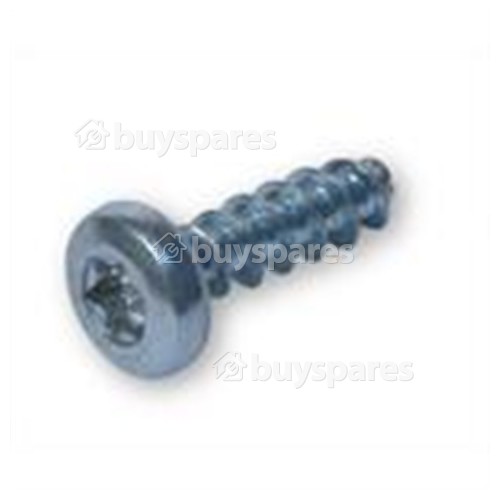 Dyson AM05 (Black/Nickel) Motor Cover Screw Cyl DC05MH