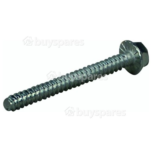 Motor Fixing Screw Eurotech