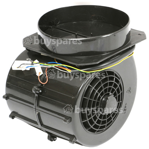 Original Parts Motor Assembly