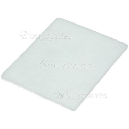 Filtre Du Moteur De L'aspirateur AEL8840 AEG
