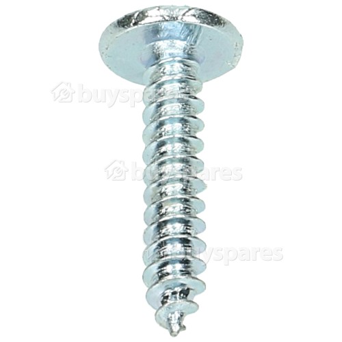 Self Tapping Screw