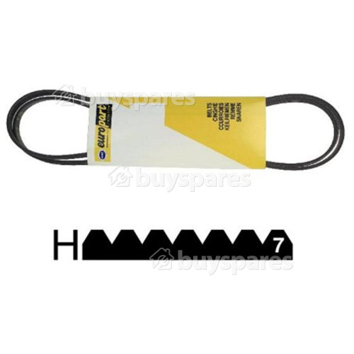 Brandt Poly-Vee Drive Belt - 1965H6