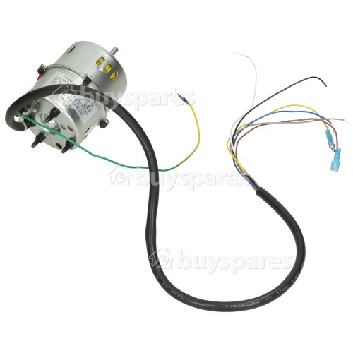 Motor