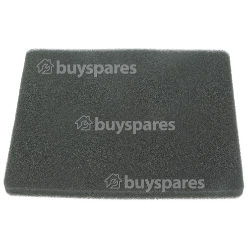 Filtre D&rsquo;&eacute;chappement (caoutchouc Mousse) Pour Aspirateurs 4510 GUANA RED Electrolux Group