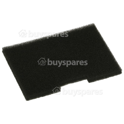 Filtre Post-moteur D'aspirateur Bissell