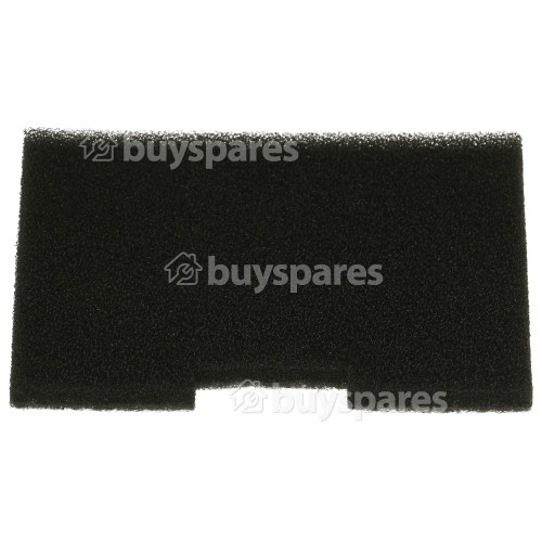 Filtre Post-moteur D'aspirateur Bissell