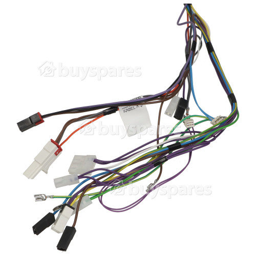 Far Wiring Harness