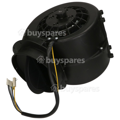 Caple Motor Assembly