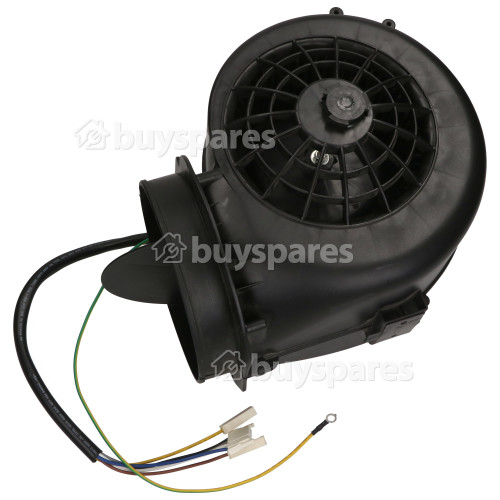 Caple Motor Assembly