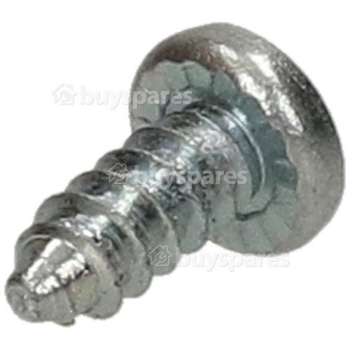 INT450 Screw 3.9 9.5 Chrome