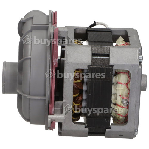 Beko Motor Spray Pump : Tonlon IC-26225