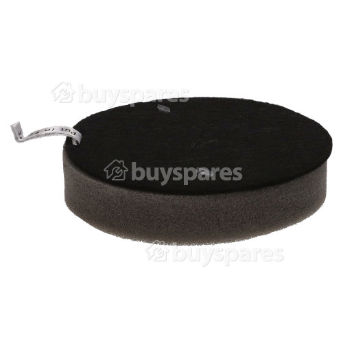 Filtre Pr&eacute;-moteur De L'aspirateur Bissell