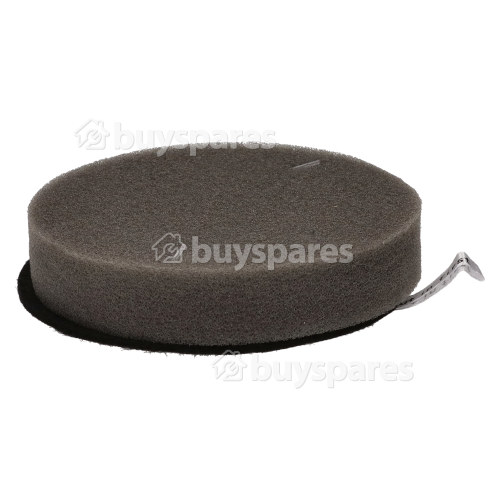 Filtre Pr&eacute;-moteur De L'aspirateur Bissell