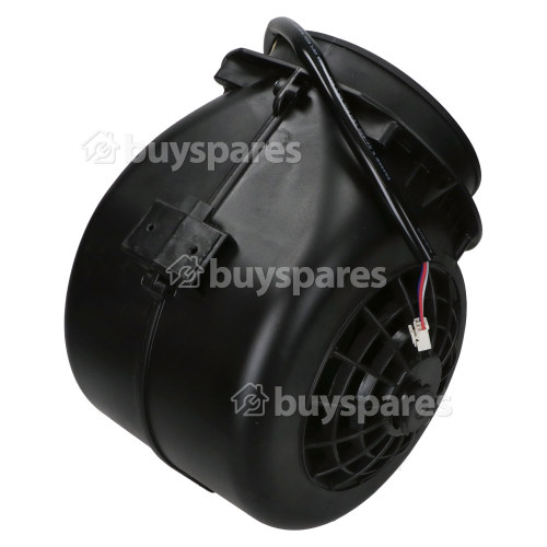 1 Year Motor Assembly