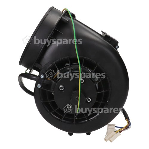 1 Year Complete Motor