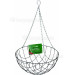 Kingfisher 12 " Hanging Basket