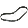 Vax Drive Belt