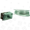 Thermostat BF373S