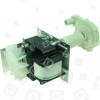 Radel Water Pump PAC20 Air Con