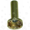 Pilot Injector 3213261 Cannon