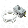 Special*thermostat F27589 F/f Newline Merloni (Indesit Group)