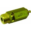 Security Valve