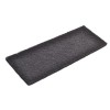 Bissell Vacuum Cleaner Post-Motor Carbon Filter