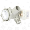 Baumatic Drain Pump Assembly : Hanning DP020-18 / DPO20-002 25W