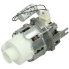 Asko Circ Pump 230V 50Hz
